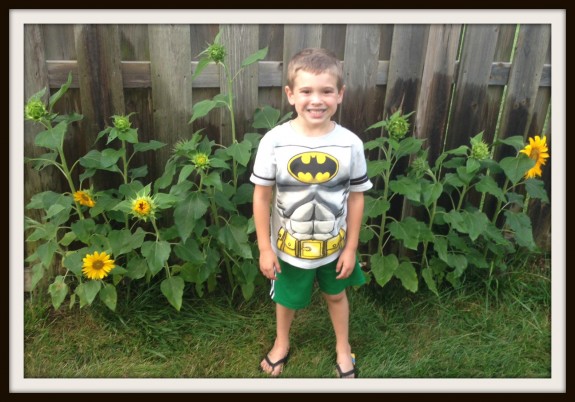 sunflower boy
